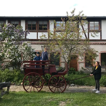 Wohnung-9 * Kägsdorf